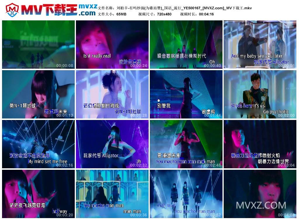 刘柏辛-有吗炒面(为歌而赞)_国语_流行_YE500167